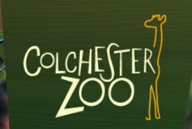  Colchester Zoo vouchers