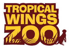 tropicalwings.co.uk